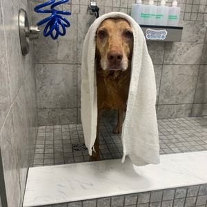 Meet your Posher, Sabrina